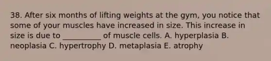 38. After six months of lifting weights at the gym, you notice that some of your muscles have increased in size. This increase in size is due to __________ of muscle cells. A. hyperplasia B. neoplasia C. hypertrophy D. metaplasia E. atrophy