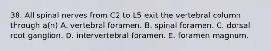 38. All <a href='https://www.questionai.com/knowledge/kyBL1dWgAx-spinal-nerves' class='anchor-knowledge'>spinal nerves</a> from C2 to L5 exit the <a href='https://www.questionai.com/knowledge/ki4fsP39zf-vertebral-column' class='anchor-knowledge'>vertebral column</a> through a(n) A. vertebral foramen. B. spinal foramen. C. dorsal root ganglion. D. intervertebral foramen. E. foramen magnum.