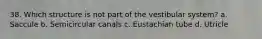 38. Which structure is not part of the vestibular system? a. Saccule b. Semicircular canals c. Eustachian tube d. Utricle