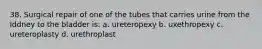 38. Surgical repair of one of the tubes that carries urine from the Iddney to the bladder is: a. ureteropexy b. uxethropexy c. ureteroplasty d. urethroplast