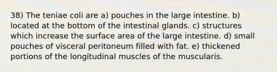 38) The teniae coli are a) pouches in the large intestine. b) located at the bottom of the intestinal glands. c) structures which increase the surface area of the large intestine. d) small pouches of visceral peritoneum filled with fat. e) thickened portions of the longitudinal muscles of the muscularis.