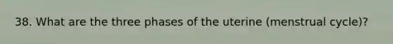 38. What are the three phases of the uterine (menstrual cycle)?