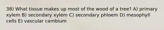 38) What tissue makes up most of the wood of a tree? A) primary xylem B) secondary xylem C) secondary phloem D) mesophyll cells E) vascular cambium