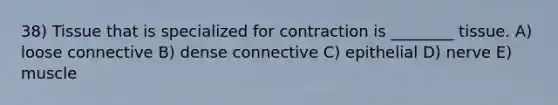 38) Tissue that is specialized for contraction is ________ tissue. A) loose connective B) dense connective C) epithelial D) nerve E) muscle