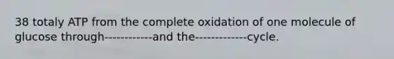 38 totaly ATP from the complete oxidation of one molecule of glucose through------------and the-------------cycle.