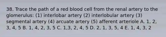 38. Trace the path of a red blood cell from the renal artery to the glomerulus: (1) interlobar artery (2) interlobular artery (3) segmental artery (4) arcuate artery (5) afferent arteriole A. 1, 2, 3, 4, 5 B. 1, 4, 2, 3, 5 C. 1,3, 2, 4, 5 D. 2, 1, 3, 5, 4 E. 1, 4, 3, 2