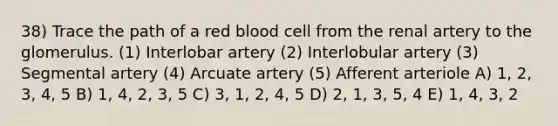 38) Trace the path of a red blood cell from the renal artery to the glomerulus. (1) Interlobar artery (2) Interlobular artery (3) Segmental artery (4) Arcuate artery (5) Afferent arteriole A) 1, 2, 3, 4, 5 B) 1, 4, 2, 3, 5 C) 3, 1, 2, 4, 5 D) 2, 1, 3, 5, 4 E) 1, 4, 3, 2