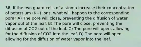 38. If the two guard cells of a stoma increase their concentration of potassium (K+) ions, what will happen to the corresponding pore? A) The pore will close, preventing the diffusion of water vapor out of the leaf. B) The pore will close, preventing the diffusion of CO2 out of the leaf. C) The pore will open, allowing for the diffusion of CO2 into the leaf. D) The pore will open, allowing for the diffusion of water vapor into the leaf.