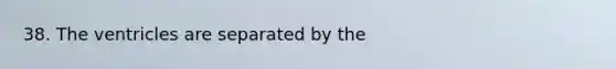 38. The ventricles are separated by the