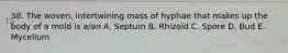 38. The woven, intertwining mass of hyphae that makes up the body of a mold is a/an A. Septum B. Rhizoid C. Spore D. Bud E. Mycelium