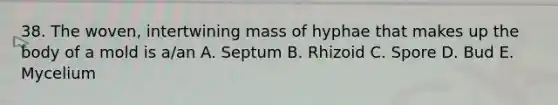 38. The woven, intertwining mass of hyphae that makes up the body of a mold is a/an A. Septum B. Rhizoid C. Spore D. Bud E. Mycelium