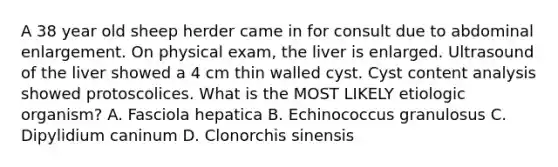 A 38 year old sheep herder came in for consult due to abdominal enlargement. On physical exam, the liver is enlarged. Ultrasound of the liver showed a 4 cm thin walled cyst. Cyst content analysis showed protoscolices. What is the MOST LIKELY etiologic organism? A. Fasciola hepatica B. Echinococcus granulosus C. Dipylidium caninum D. Clonorchis sinensis