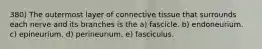 380) The outermost layer of connective tissue that surrounds each nerve and its branches is the a) fascicle. b) endoneurium. c) epineurium. d) perineurium. e) fasciculus.