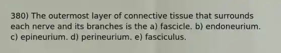 380) The outermost layer of <a href='https://www.questionai.com/knowledge/kYDr0DHyc8-connective-tissue' class='anchor-knowledge'>connective tissue</a> that surrounds each nerve and its branches is the a) fascicle. b) endoneurium. c) epineurium. d) perineurium. e) fasciculus.