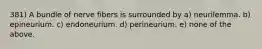 381) A bundle of nerve fibers is surrounded by a) neurilemma. b) epineurium. c) endoneurium. d) perineurium. e) none of the above.