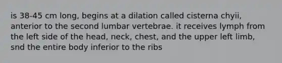 is 38-45 cm long, begins at a dilation called cisterna chyii, anterior to the second lumbar vertebrae. it receives lymph from the left side of the head, neck, chest, and the upper left limb, snd the entire body inferior to the ribs