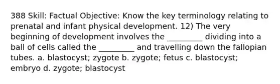 388 Skill: Factual Objective: Know the key terminology relating to prenatal and infant physical development. 12) The very beginning of development involves the _________ dividing into a ball of cells called the _________ and travelling down the fallopian tubes. a. blastocyst; zygote b. zygote; fetus c. blastocyst; embryo d. zygote; blastocyst