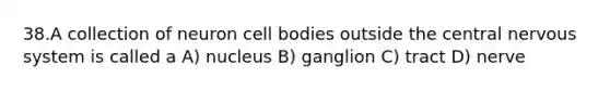 38.A collection of neuron cell bodies outside the central <a href='https://www.questionai.com/knowledge/kThdVqrsqy-nervous-system' class='anchor-knowledge'>nervous system</a> is called a A) nucleus B) ganglion C) tract D) nerve