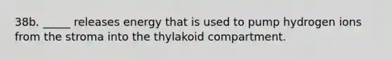 38b. _____ releases energy that is used to pump hydrogen ions from the stroma into the thylakoid compartment.