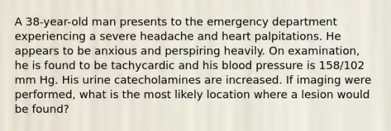 A 38-year-old man presents to the emergency department experiencing a severe headache and heart palpitations. He appears to be anxious and perspiring heavily. On examination, he is found to be tachycardic and his blood pressure is 158/102 mm Hg. His urine catecholamines are increased. If imaging were performed, what is the most likely location where a lesion would be found?