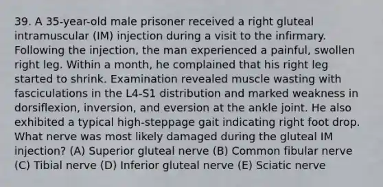 39. A 35-year-old male prisoner received a right gluteal intramuscular (IM) injection during a visit to the infirmary. Following the injection, the man experienced a painful, swollen right leg. Within a month, he complained that his right leg started to shrink. Examination revealed muscle wasting with fasciculations in the L4-S1 distribution and marked weakness in dorsiflexion, inversion, and eversion at the ankle joint. He also exhibited a typical high-steppage gait indicating right foot drop. What nerve was most likely damaged during the gluteal IM injection? (A) Superior gluteal nerve (B) Common fibular nerve (C) Tibial nerve (D) Inferior gluteal nerve (E) Sciatic nerve