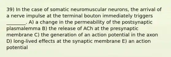 39) In the case of somatic neuromuscular neurons, the arrival of a nerve impulse at the terminal bouton immediately triggers ________. A) a change in the permeability of the postsynaptic plasmalemma B) the release of ACh at the presynaptic membrane C) the generation of an action potential in the axon D) long-lived effects at the synaptic membrane E) an action potential