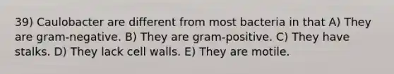 39) Caulobacter are different from most bacteria in that A) They are gram-negative. B) They are gram-positive. C) They have stalks. D) They lack cell walls. E) They are motile.