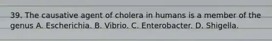 39. The causative agent of cholera in humans is a member of the genus A. Escherichia. B. Vibrio. C. Enterobacter. D. Shigella.