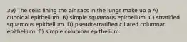 39) The cells lining the air sacs in the lungs make up a A) cuboidal epithelium. B) simple squamous epithelium. C) stratified squamous epithelium. D) pseudostratified ciliated columnar epithelium. E) simple columnar epithelium.