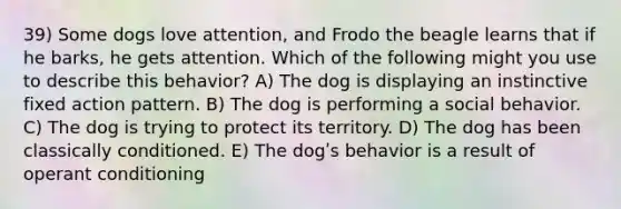 39) Some dogs love attention, and Frodo the beagle learns that if he barks, he gets attention. Which of the following might you use to describe this behavior? A) The dog is displaying an instinctive fixed action pattern. B) The dog is performing a social behavior. C) The dog is trying to protect its territory. D) The dog has been classically conditioned. E) The dogʹs behavior is a result of <a href='https://www.questionai.com/knowledge/kcaiZj2J12-operant-conditioning' class='anchor-knowledge'>operant conditioning</a>