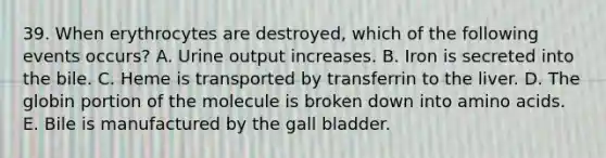 39. When erythrocytes are destroyed, which of the following events occurs? A. Urine output increases. B. Iron is secreted into the bile. C. Heme is transported by transferrin to the liver. D. The globin portion of the molecule is broken down into amino acids. E. Bile is manufactured by the gall bladder.