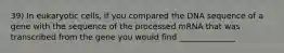 39) In eukaryotic cells, if you compared the DNA sequence of a gene with the sequence of the processed mRNA that was transcribed from the gene you would find ______________