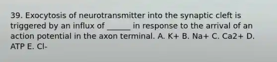 39. Exocytosis of neurotransmitter into the synaptic cleft is triggered by an influx of ______ in response to the arrival of an action potential in the axon terminal. A. K+ B. Na+ C. Ca2+ D. ATP E. Cl-