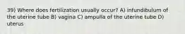 39) Where does fertilization usually occur? A) infundibulum of the uterine tube B) vagina C) ampulla of the uterine tube D) uterus