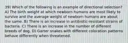 39) Which of the following is an example of directional selection? A) The birth weight at which newborn humans are most likely to survive and the average weight of newborn humans are about the same. B) There is an increase in antibiotic-resistant strains of bacteria. C) There is an increase in the number of different breeds of dog. D) Garter snakes with different coloration patterns behave differently when threatened.