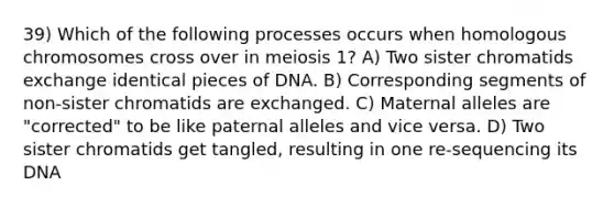 39) Which of the following processes occurs when homologous chromosomes cross over in meiosis 1? A) Two sister chromatids exchange identical pieces of DNA. B) Corresponding segments of non-sister chromatids are exchanged. C) Maternal alleles are "corrected" to be like paternal alleles and vice versa. D) Two sister chromatids get tangled, resulting in one re-sequencing its DNA