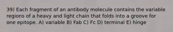 39) Each fragment of an antibody molecule contains the variable regions of a heavy and light chain that folds into a groove for one epitope. A) variable B) Fab C) Fc D) terminal E) hinge