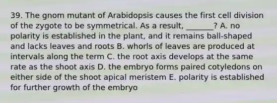 39. The gnom mutant of Arabidopsis causes the first <a href='https://www.questionai.com/knowledge/kjHVAH8Me4-cell-division' class='anchor-knowledge'>cell division</a> of the zygote to be symmetrical. As a result, _______? A. no polarity is established in the plant, and it remains ball-shaped and lacks leaves and roots B. whorls of leaves are produced at intervals along the term C. the root axis develops at the same rate as the shoot axis D. the embryo forms paired cotyledons on either side of the shoot apical meristem E. polarity is established for further growth of the embryo