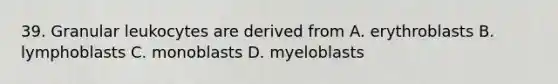 39. Granular leukocytes are derived from A. erythroblasts B. lymphoblasts C. monoblasts D. myeloblasts