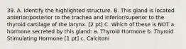 39. A. Identify the highlighted structure. B. This gland is located anterior/posterior to the trachea and inferior/superior to the thyroid cartilage of the larynx. [2 pt] C. Which of these is NOT a hormone secreted by this gland: a. Thyroid Hormone b. Thyroid Stimulating Hormone [1 pt] c. Calcitoni