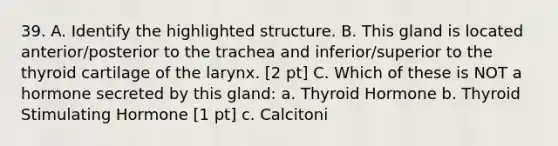 39. A. Identify the highlighted structure. B. This gland is located anterior/posterior to the trachea and inferior/superior to the thyroid cartilage of the larynx. [2 pt] C. Which of these is NOT a hormone secreted by this gland: a. Thyroid Hormone b. Thyroid Stimulating Hormone [1 pt] c. Calcitoni