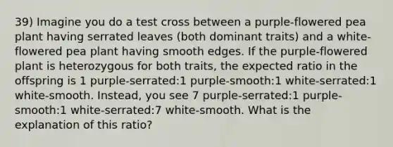 39) Imagine you do a test cross between a purple-flowered pea plant having serrated leaves (both dominant traits) and a white-flowered pea plant having smooth edges. If the purple-flowered plant is heterozygous for both traits, the expected ratio in the offspring is 1 purple-serrated:1 purple-smooth:1 white-serrated:1 white-smooth. Instead, you see 7 purple-serrated:1 purple-smooth:1 white-serrated:7 white-smooth. What is the explanation of this ratio?