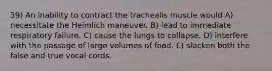 39) An inability to contract the trachealis muscle would A) necessitate the Heimlich maneuver. B) lead to immediate respiratory failure. C) cause the lungs to collapse. D) interfere with the passage of large volumes of food. E) slacken both the false and true vocal cords.