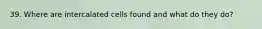 39. Where are intercalated cells found and what do they do?