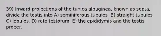 39) Inward projections of the tunica albuginea, known as septa, divide the testis into A) seminiferous tubules. B) straight tubules. C) lobules. D) rete testorum. E) the epididymis and the testis proper.