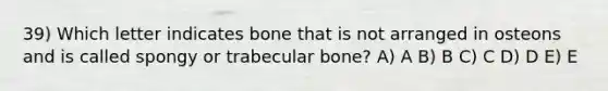 39) Which letter indicates bone that is not arranged in osteons and is called spongy or trabecular bone? A) A B) B C) C D) D E) E