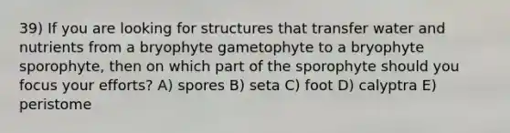 39) If you are looking for structures that transfer water and nutrients from a bryophyte gametophyte to a bryophyte sporophyte, then on which part of the sporophyte should you focus your efforts? A) spores B) seta C) foot D) calyptra E) peristome