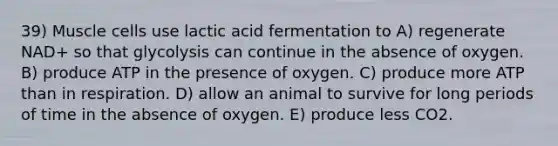 39) Muscle cells use lactic acid fermentation to A) regenerate NAD+ so that glycolysis can continue in the absence of oxygen. B) produce ATP in the presence of oxygen. C) produce more ATP than in respiration. D) allow an animal to survive for long periods of time in the absence of oxygen. E) produce less CO2.