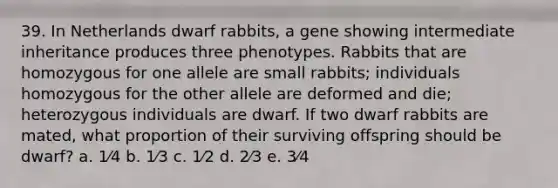 39. In Netherlands dwarf rabbits, a gene showing intermediate inheritance produces three phenotypes. Rabbits that are homozygous for one allele are small rabbits; individuals homozygous for the other allele are deformed and die; heterozygous individuals are dwarf. If two dwarf rabbits are mated, what proportion of their surviving offspring should be dwarf? a. 1⁄4 b. 1⁄3 c. 1⁄2 d. 2⁄3 e. 3⁄4