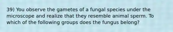 39) You observe the gametes of a fungal species under the microscope and realize that they resemble animal sperm. To which of the following groups does the fungus belong?